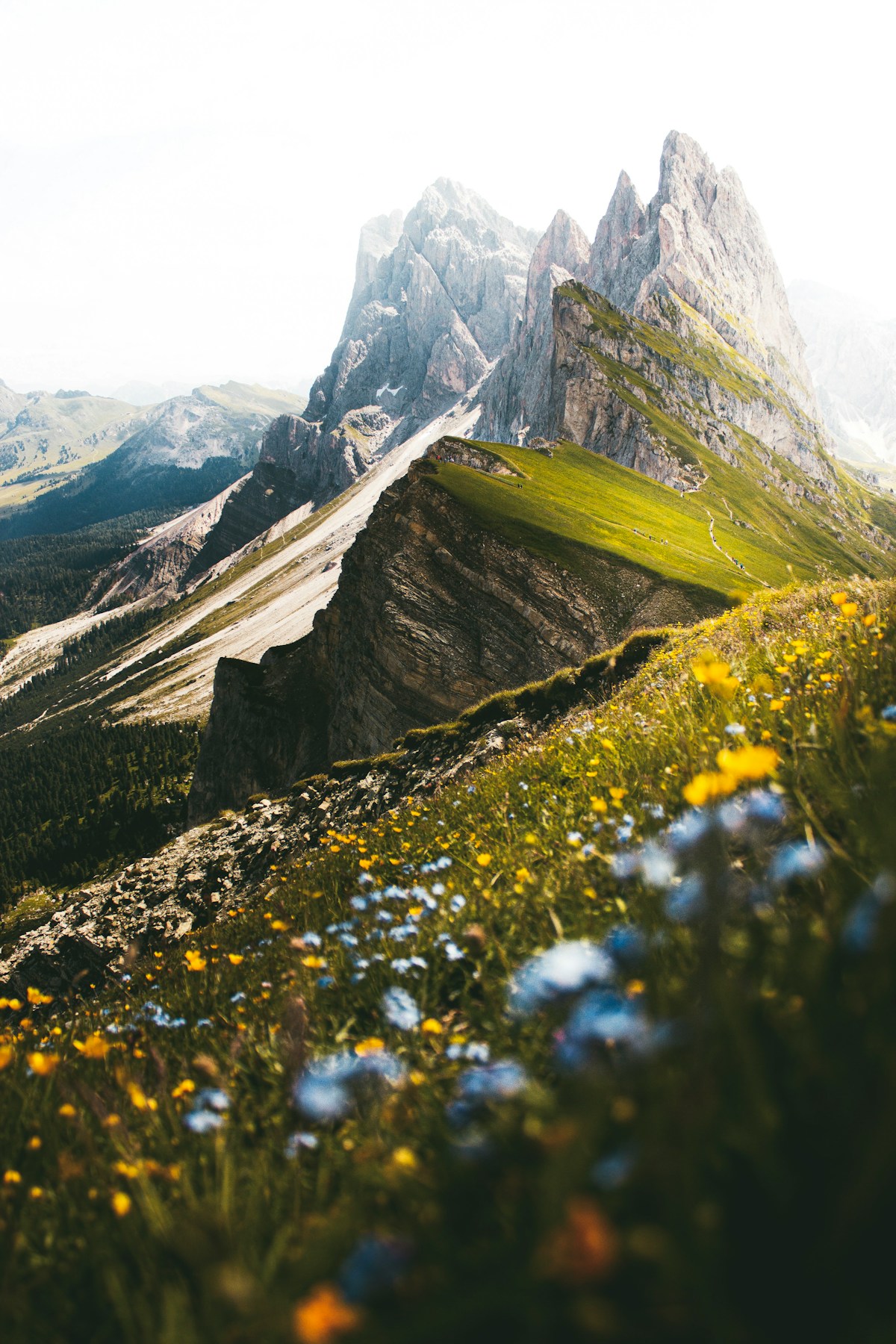 Glacier Trek Introduction